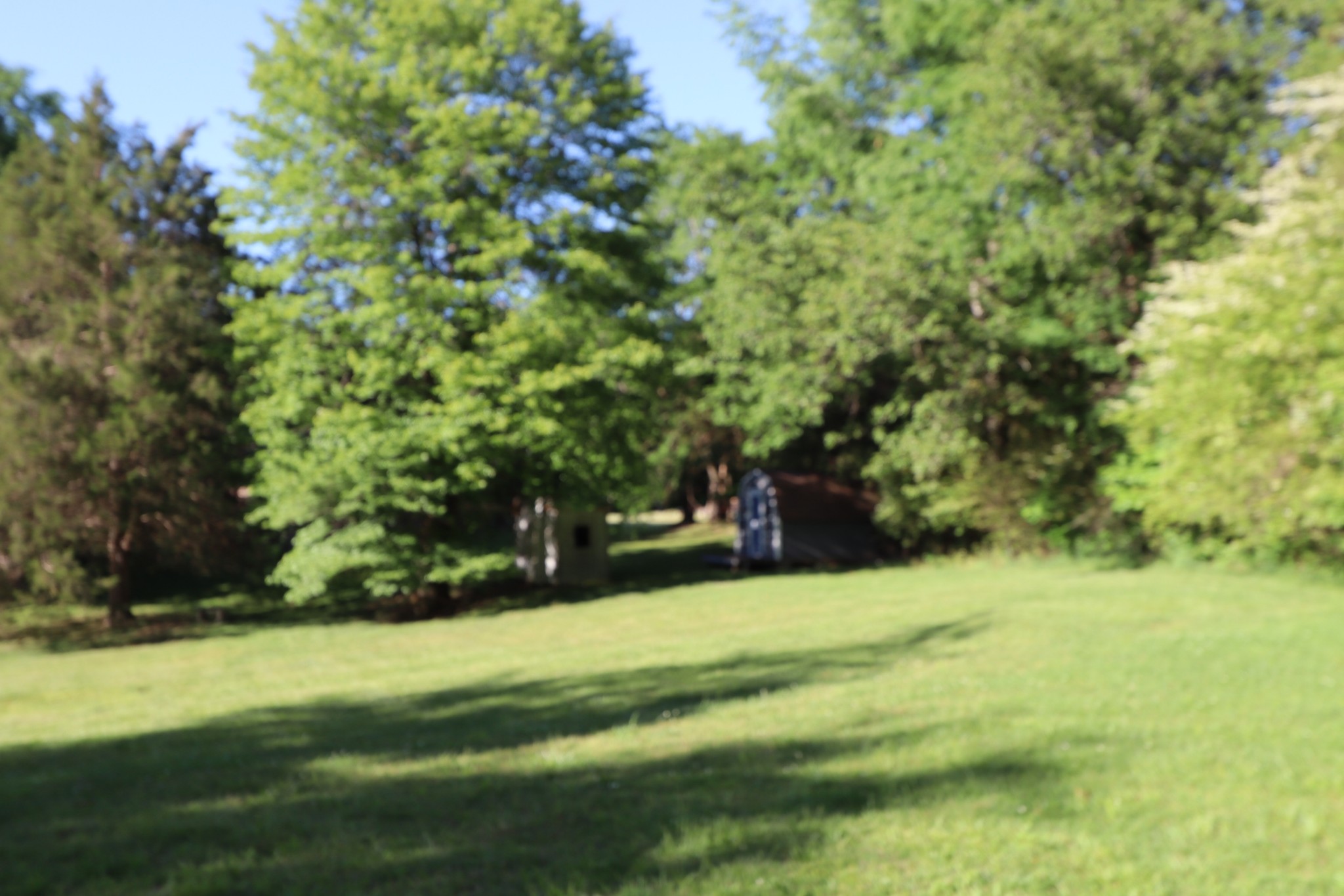 7523 Chester Road Fairview, TN 37062 - Photo 49 of 53 a view of a field of grass and trees