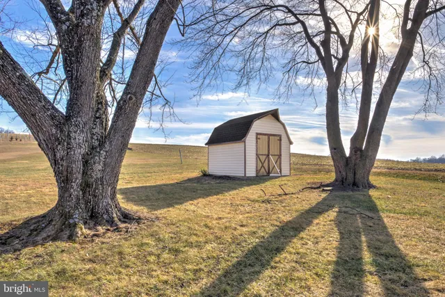 a large tree in front of a white house