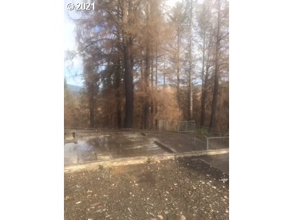 8385 Northeast Ridgecrest Court Otis, OR 97368 - Photo 11 of 23 Gallery Image 11