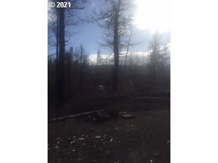 8385 Northeast Ridgecrest Court Otis, OR 97368 - Photo 15 of 23 Gallery Image 15