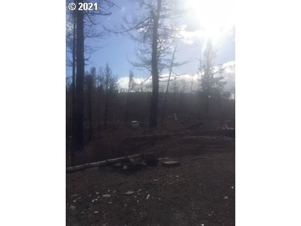 8385 Northeast Ridgecrest Court Otis, OR 97368 - Photo 16 of 23 Gallery Image 16