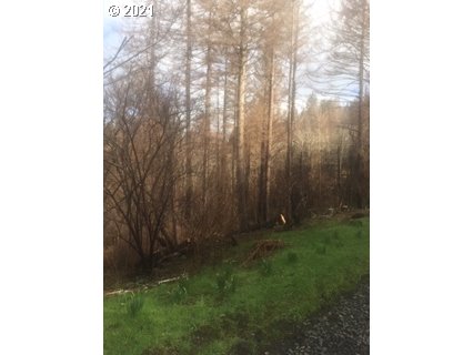 8385 Northeast Ridgecrest Court Otis, OR 97368 - Photo 21 of 23 Gallery Image 21