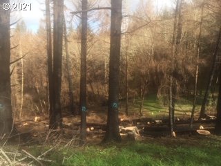 8385 Northeast Ridgecrest Court Otis, OR 97368 - Photo 22 of 23 Gallery Image 22