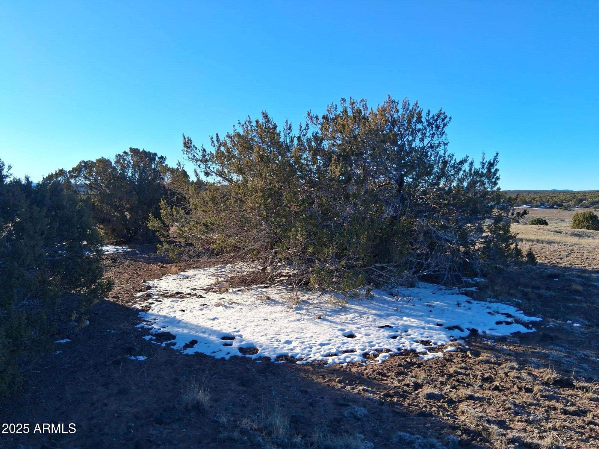 86 County Road 8227 Concho, AZ 85924 - Photo 11 of 17 86 County Rd 8227