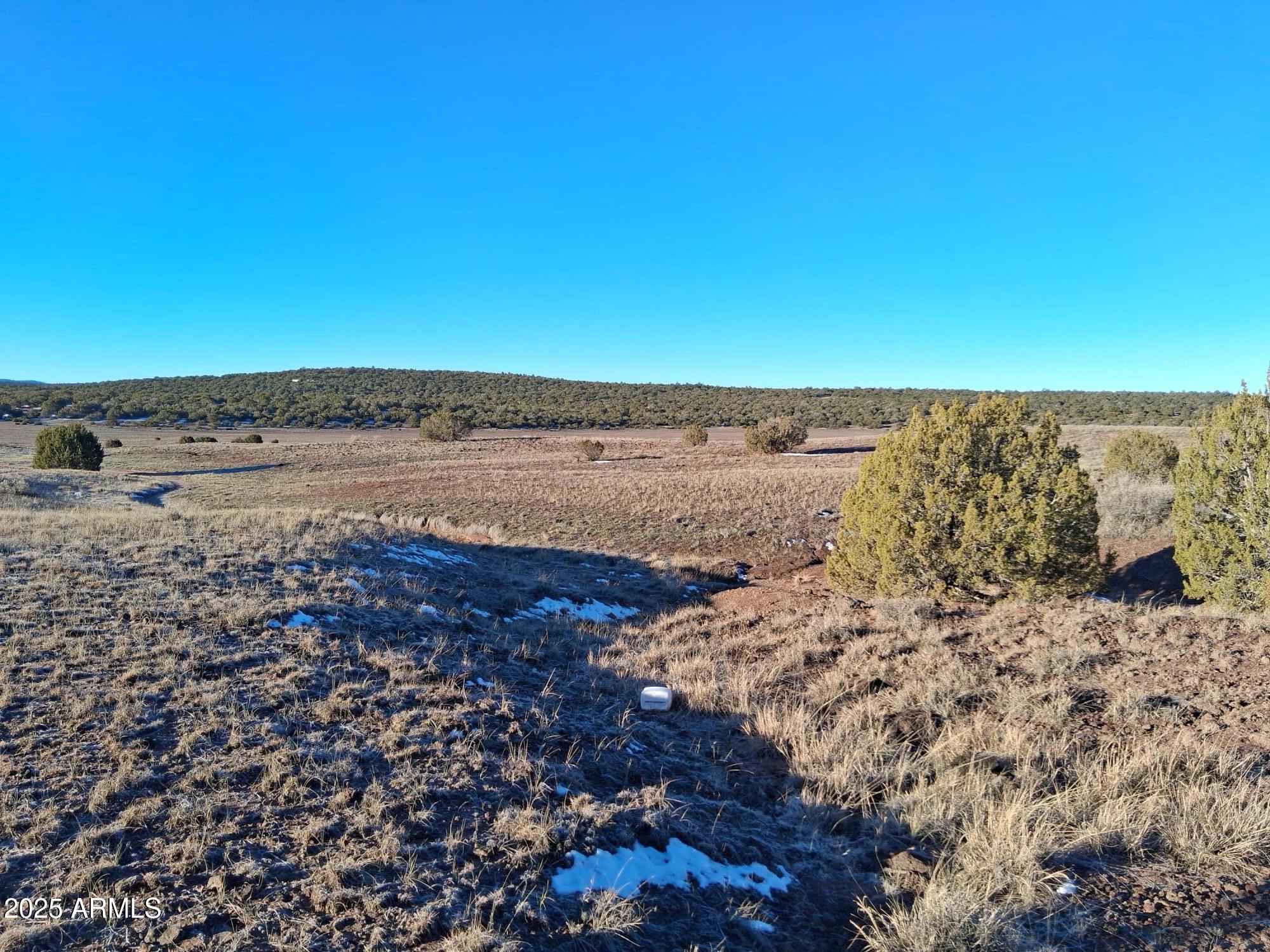 86 County Road 8227 Concho, AZ 85924 - Photo 12 of 17 86 County Rd 8227