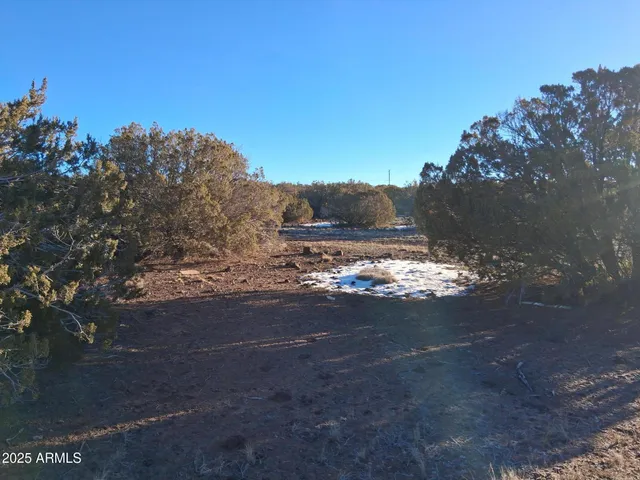 $15,997 | 86 County Road 8227, Show Low, AZ 85901