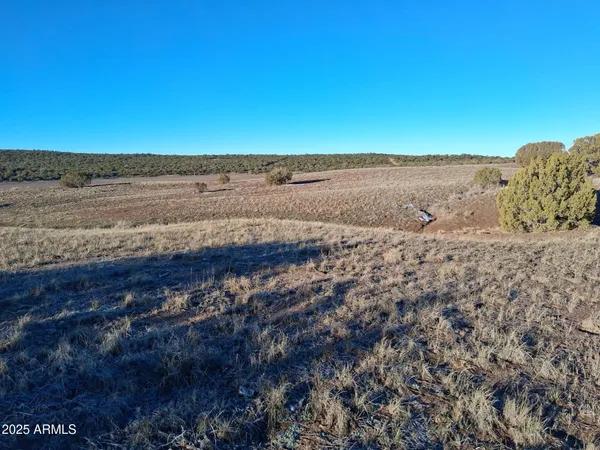 a view of a field with trees in background