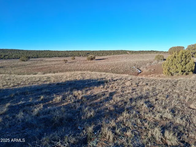 $15,997 | 86 County Road 8227, Show Low, AZ 85901