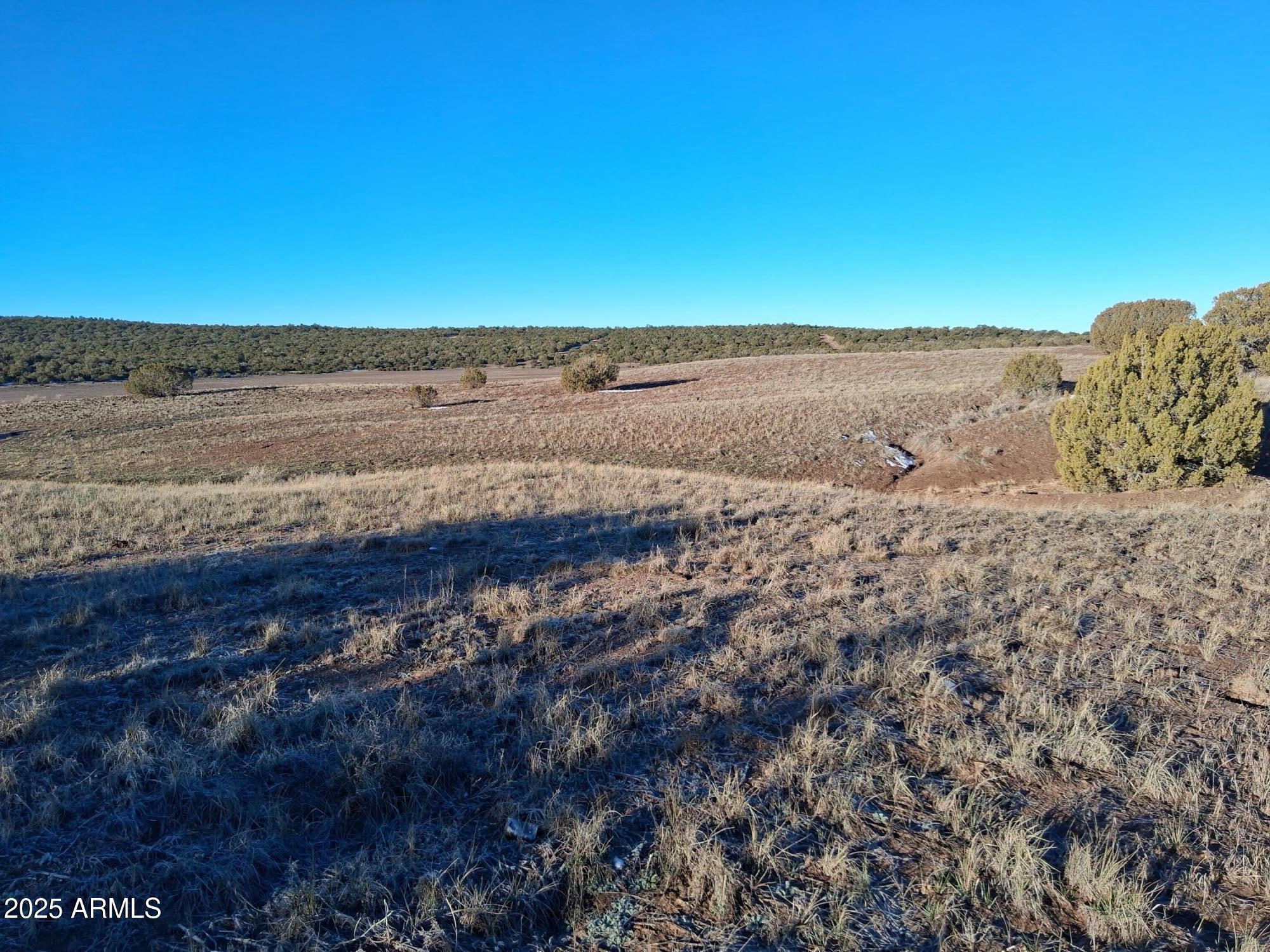 86 County Road 8227 Concho, AZ 85924 - Photo 14 of 17 86 County Rd 8227
