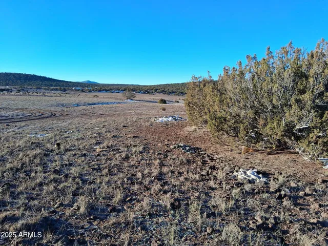$15,997 | 86 County Road 8227, Show Low, AZ 85901