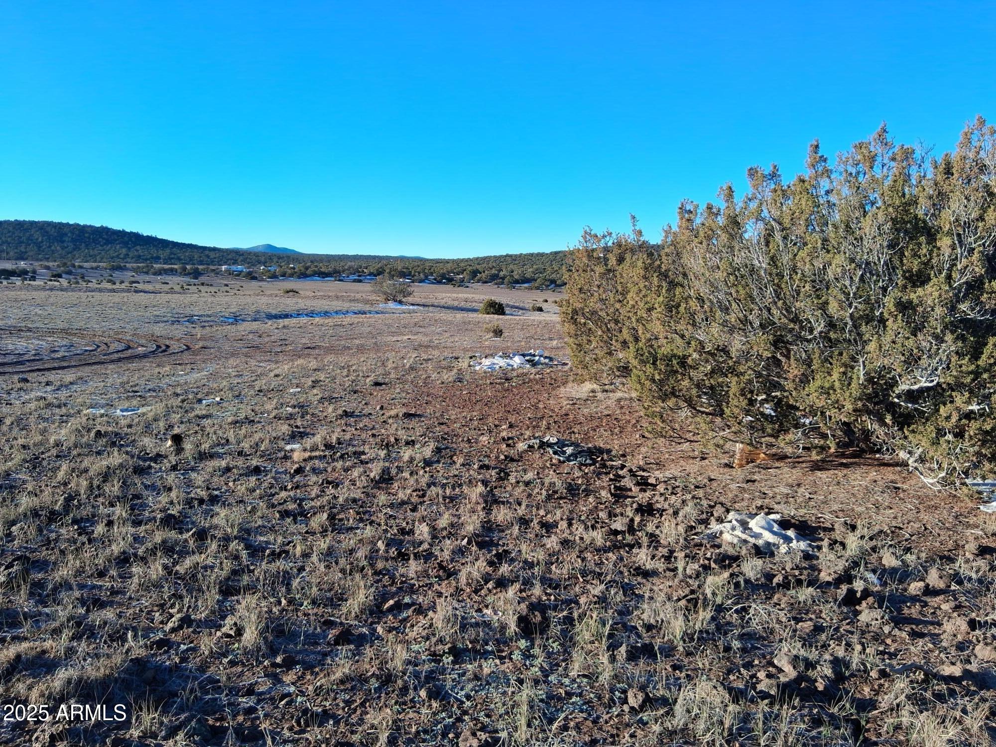 86 County Road 8227 Concho, AZ 85924 - Photo 15 of 17 86 County Rd 8227