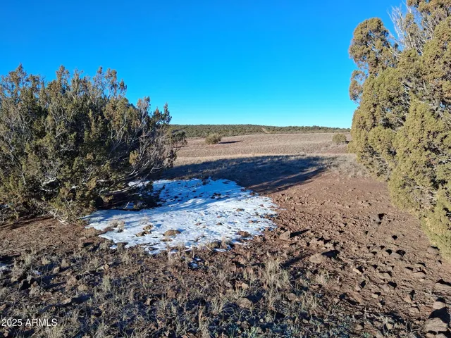 $15,997 | 86 County Road 8227, Show Low, AZ 85901