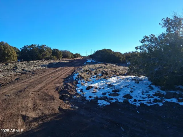 $15,997 | 86 County Road 8227, Show Low, AZ 85901