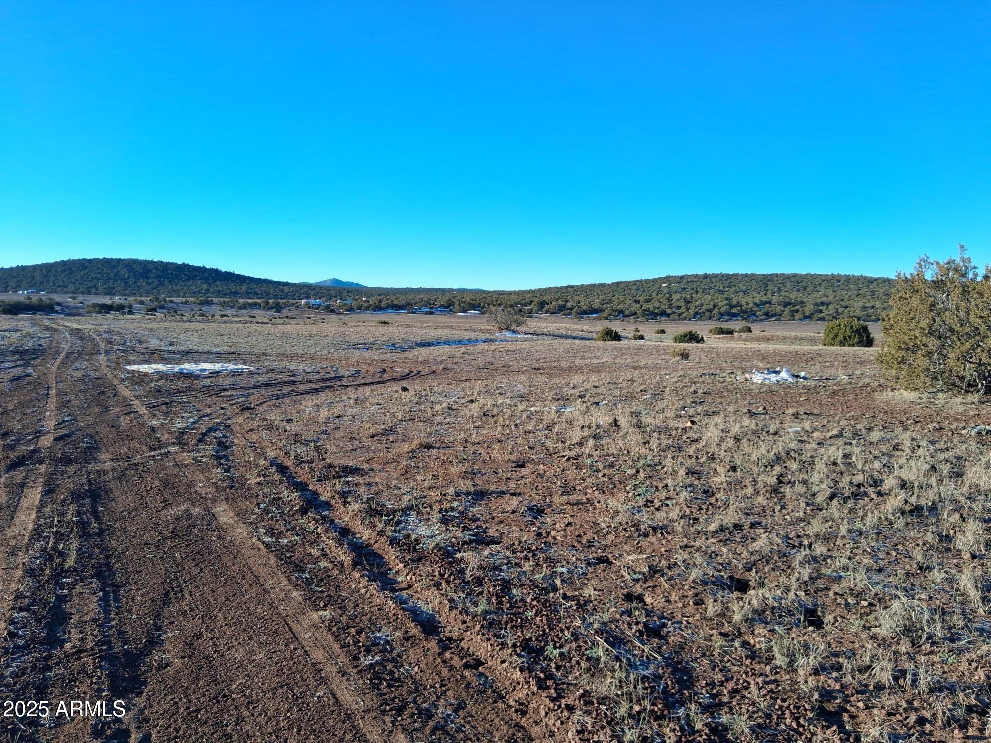 86 County Road 8227 Concho, AZ 85924 - Photo 6 of 17 86 County Rd 8227