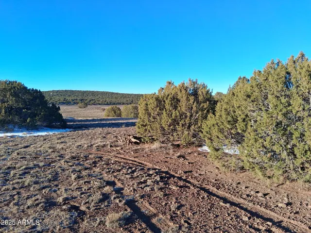 $15,997 | 86 County Road 8227, Show Low, AZ 85901