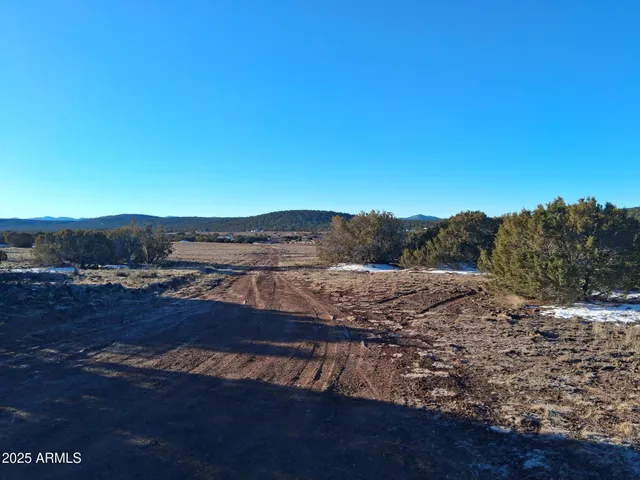 $15,997 | 86 County Road 8227, Show Low, AZ 85901