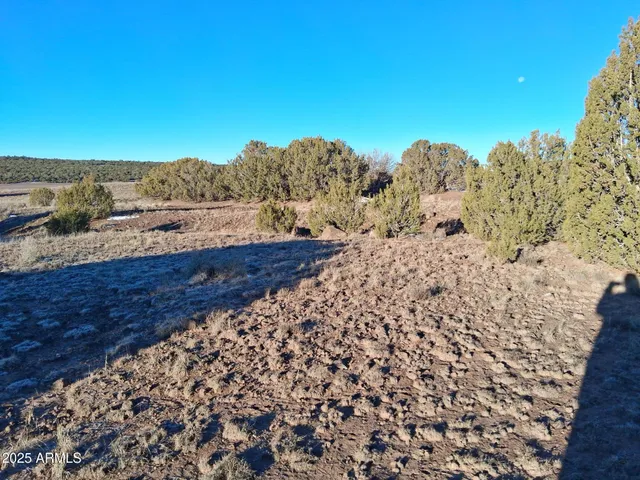 $15,997 | 86 County Road 8227, Show Low, AZ 85901