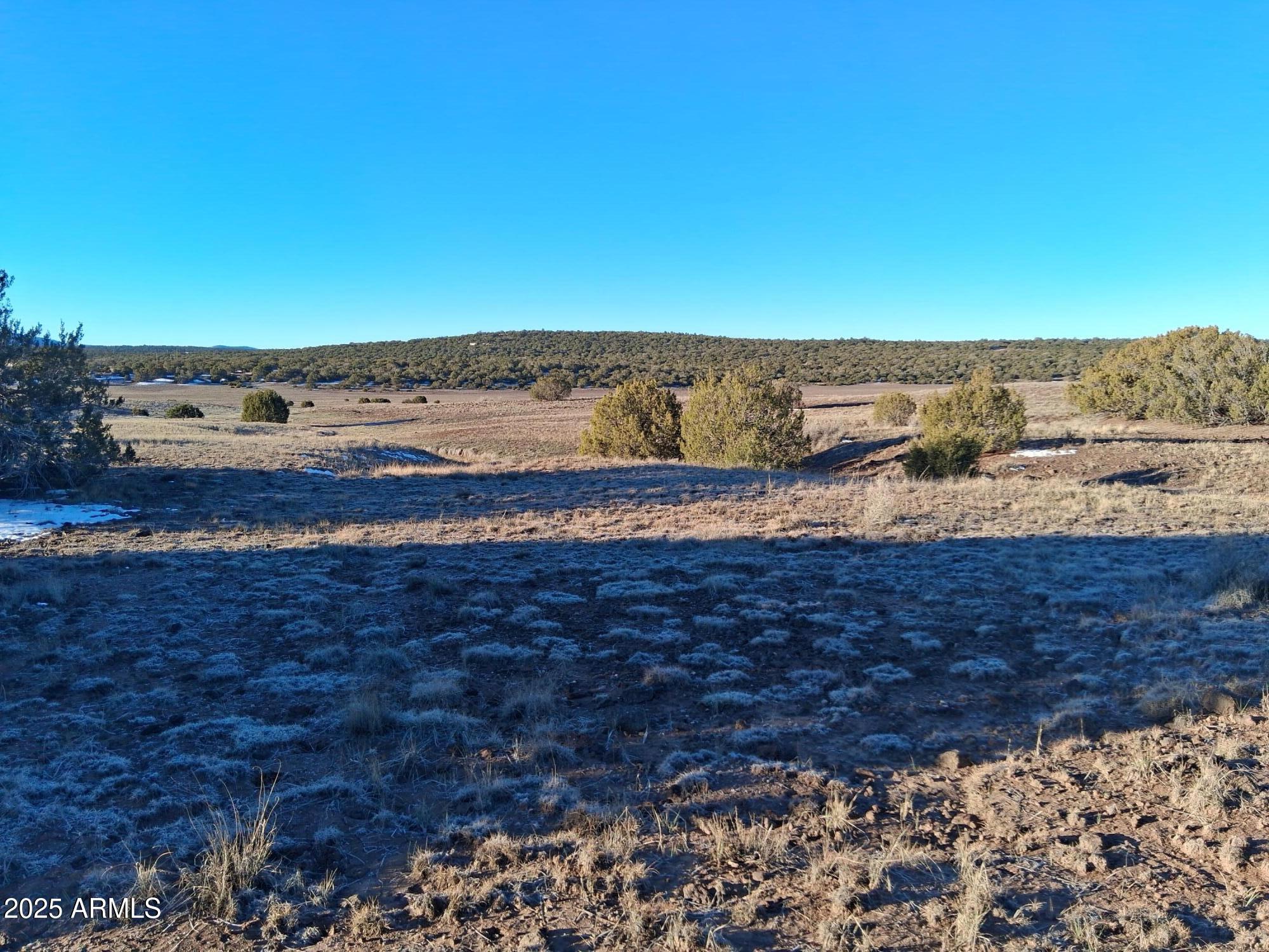 86 County Road 8227 Concho, AZ 85924 - Photo 10 of 17 86 County Rd 8227