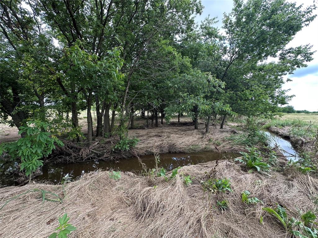 Tbd Krahl Road Valley View, TX 76272 - Photo 21 of 23 Creek