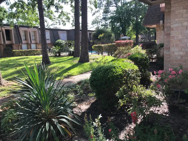 a view of a backyard with plants