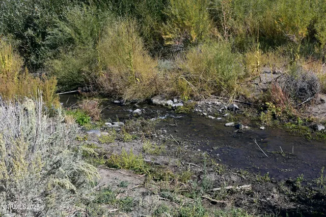 a view of a yard with a tree