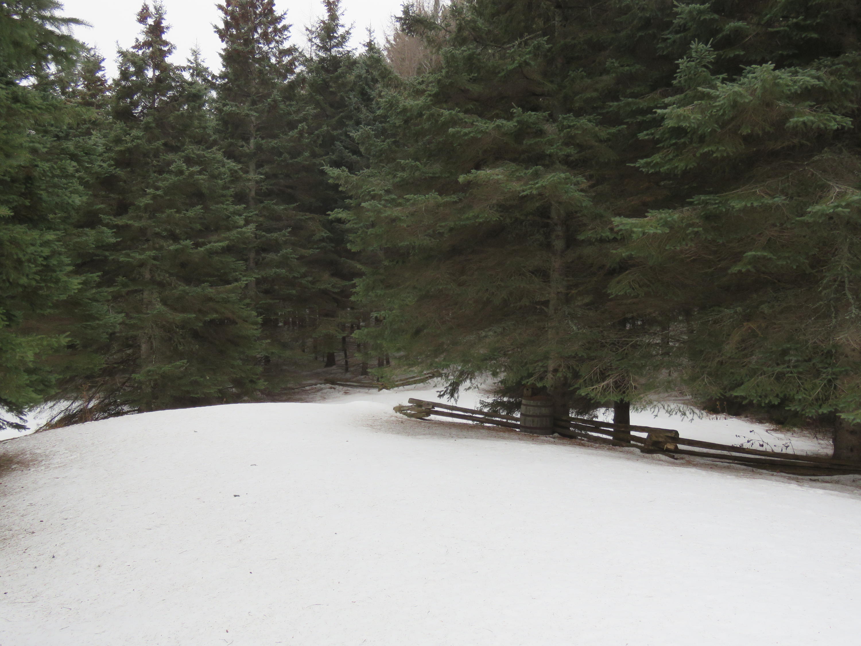 16 White Road Presque Isle, ME 04769 - Photo 4 of 13 IMG_8018