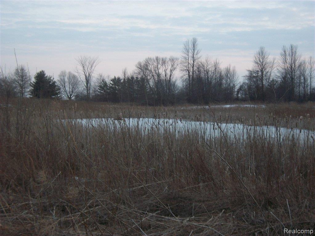 0 Townsend Road Lexington, MI 48450 - Photo 5 of 9 pond woods.JPG