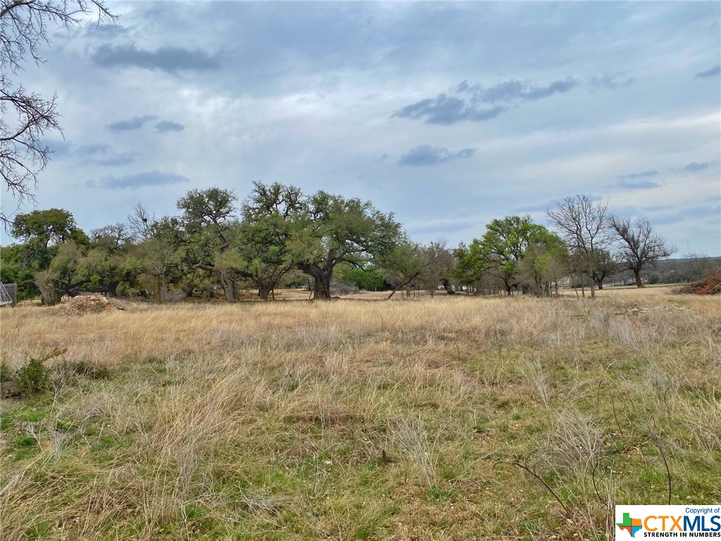 109 Rio Grande Drive Blanco, TX 78606 - Photo 11 of 20