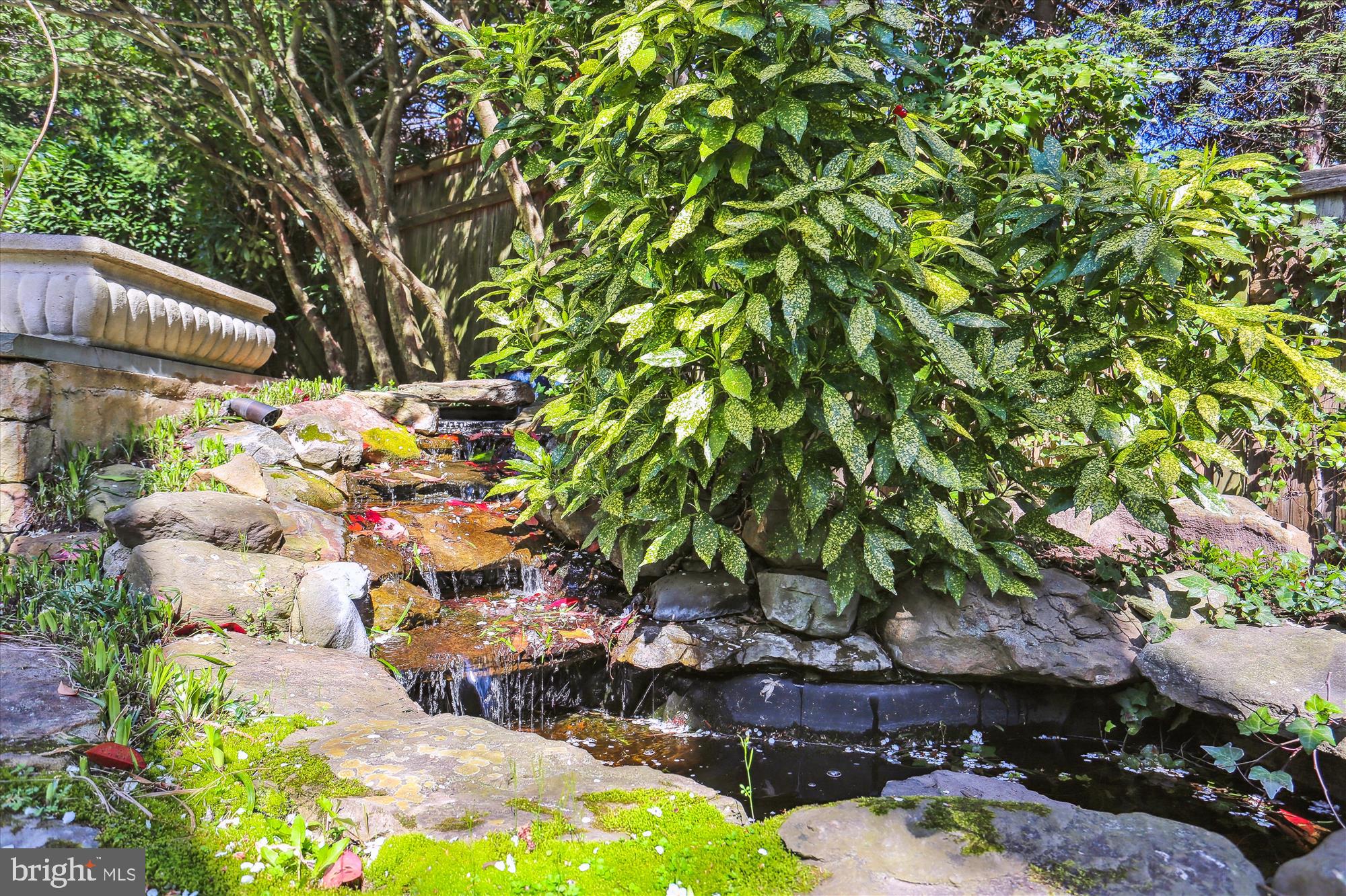 7511 Exeter Road Bethesda, MD 20814 - Photo 36 of 43 Back yard pond