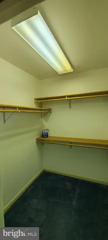 a close up of a umbrella