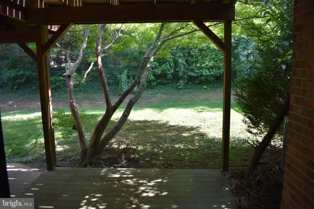 a view of outdoor space and trees