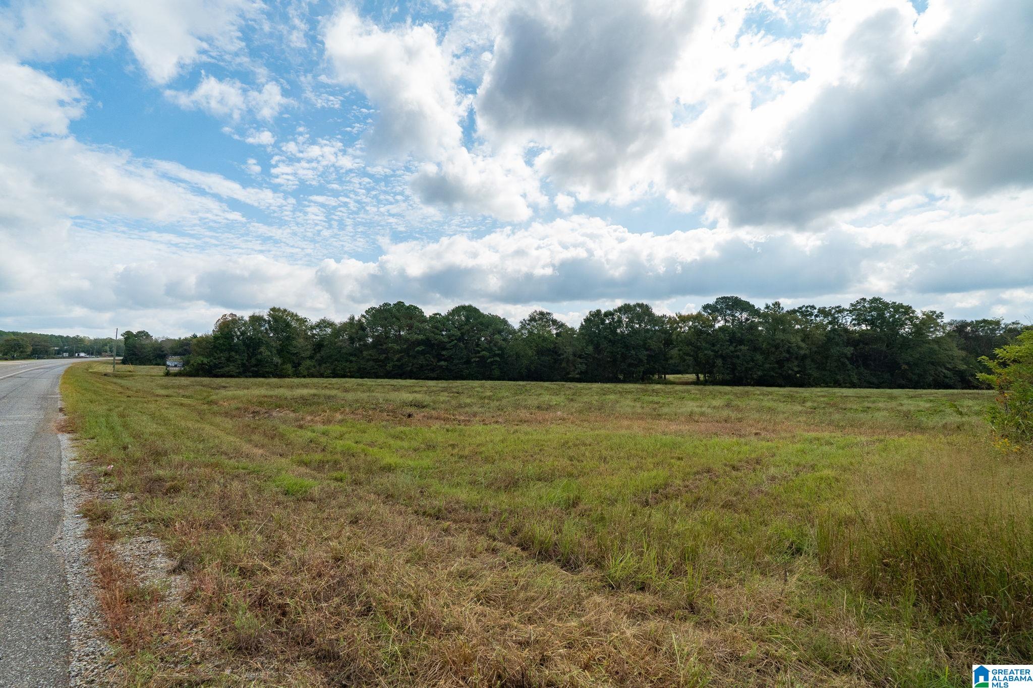 0 Allred Road, Unit PARCEL #5 Lincoln, AL 35096 - Photo 11 of 24