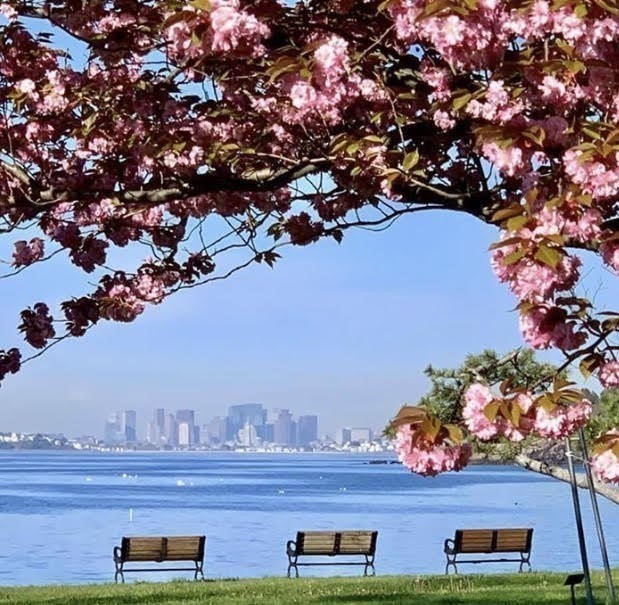 8 Goddard Drive Nahant, MA 01908 - Photo 9 of 13