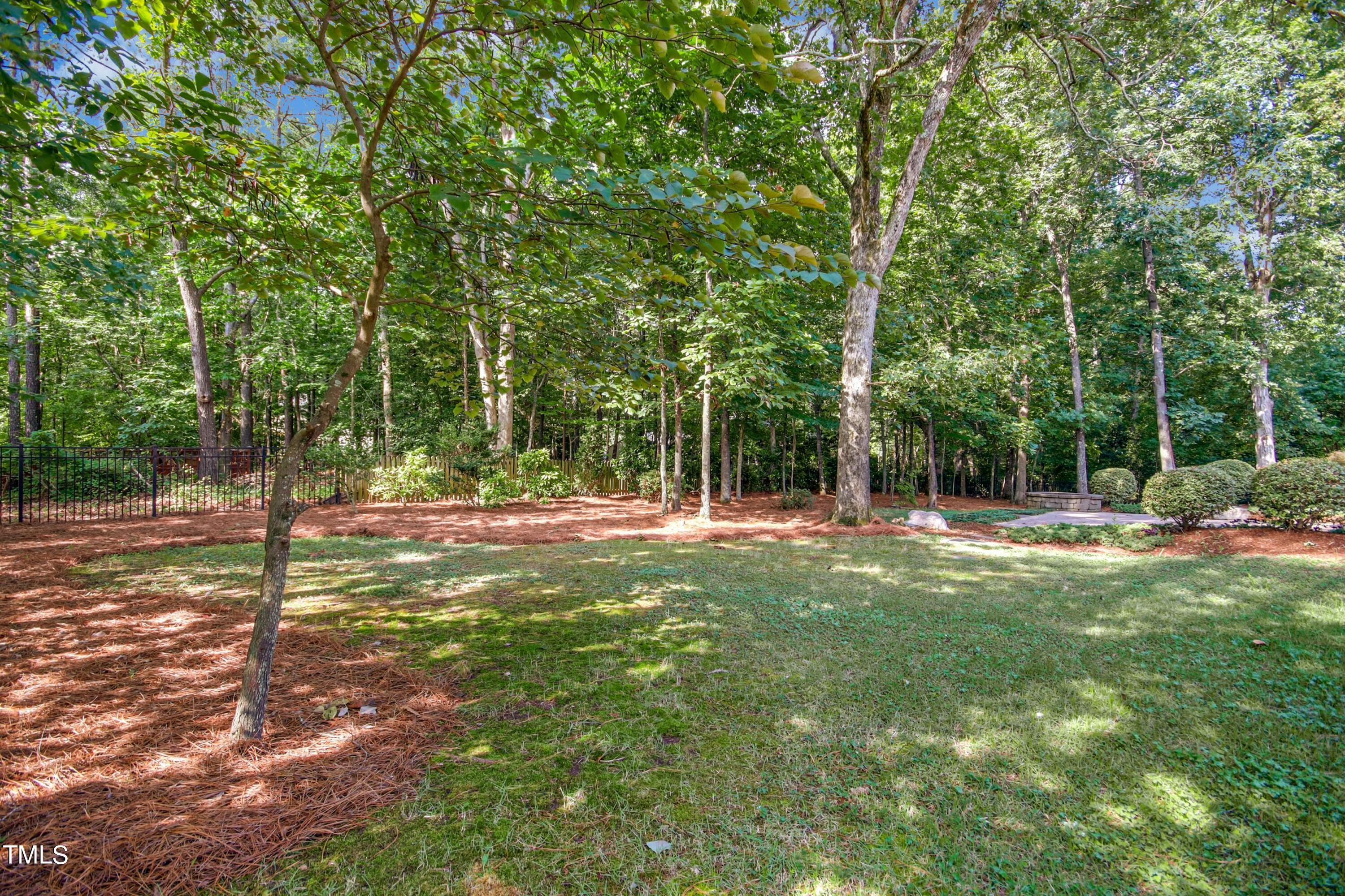 5513 Hickory Leaf Drive Raleigh, NC 27606 - Photo 31 of 41 a view of backyard with tree