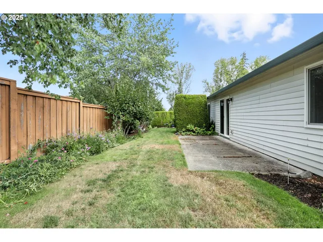 a backyard of a house with plants and tree