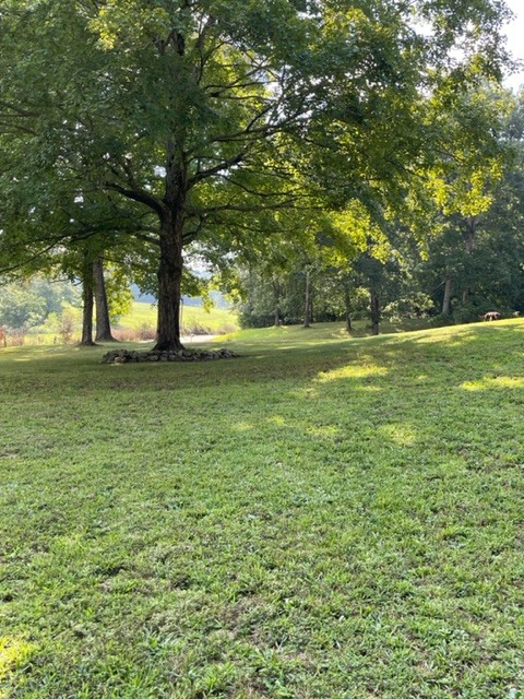 2050 Limekiln Road Tennessee Ridge, TN 37178 - Photo 4 of 37 a big yard with lots of green space and trees