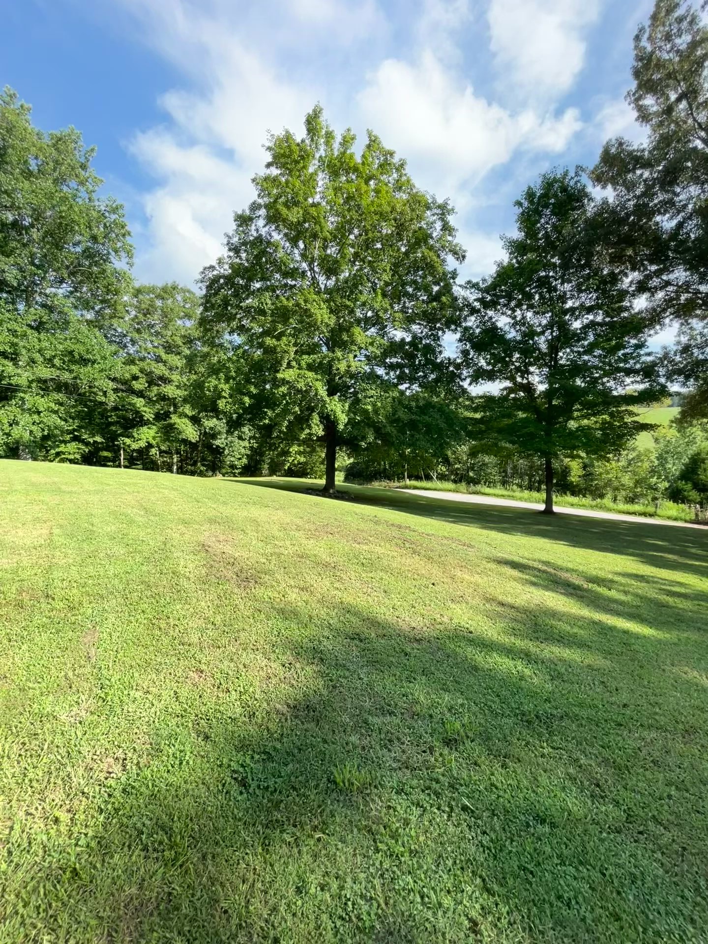 2050 Limekiln Road Tennessee Ridge, TN 37178 - Photo 5 of 37 a view of a green field with trees in the background