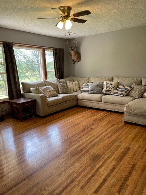 2050 Limekiln Road Tennessee Ridge, TN 37178 - Photo 6 of 37 a living room with furniture and a large window