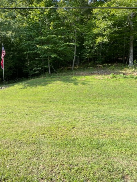 2050 Limekiln Road Tennessee Ridge, TN 37178 - Photo 7 of 37 a view of a garden