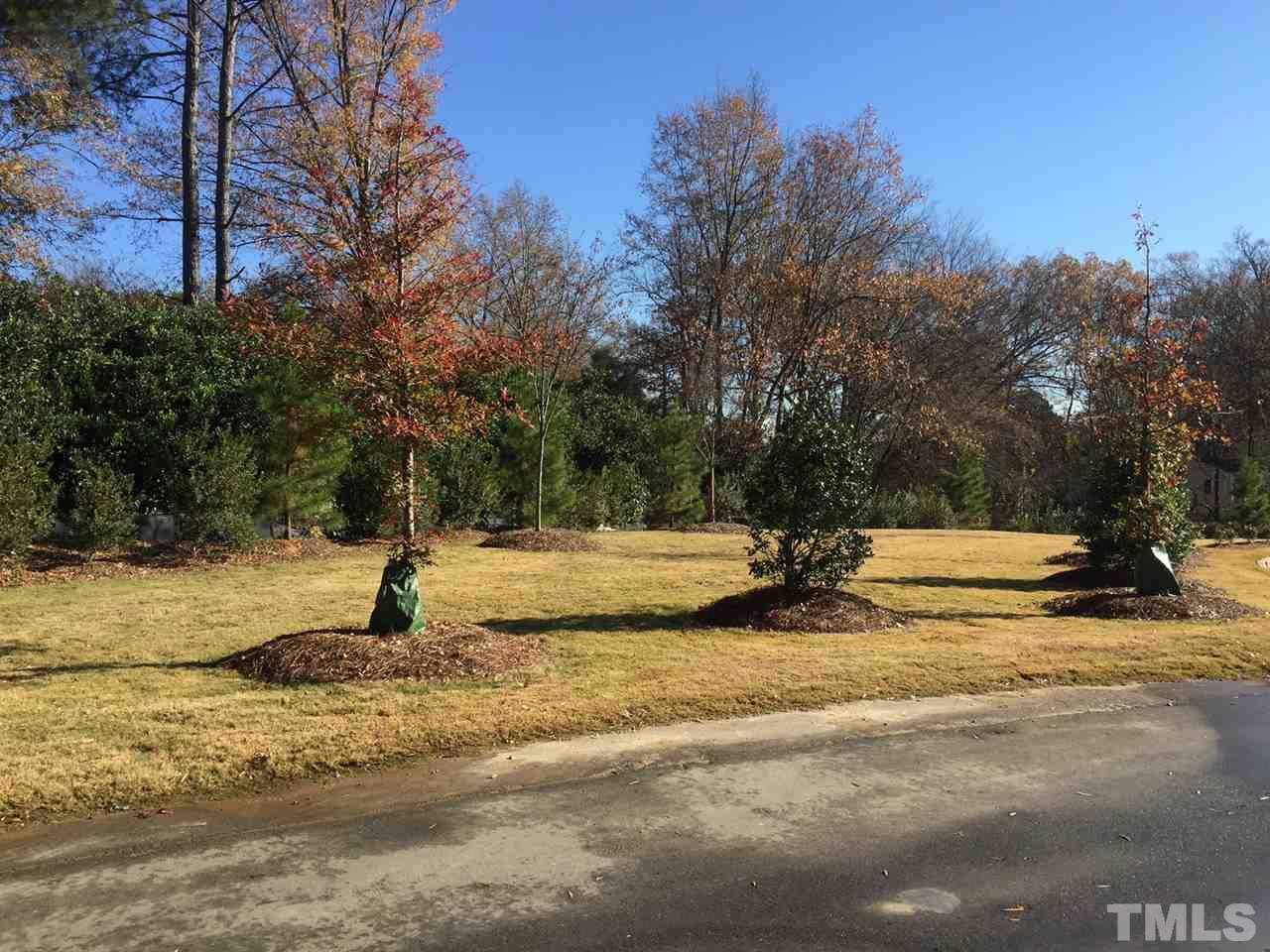704 Fallon Grove Way Raleigh, NC 27608 - Photo 3 of 15 a view of a yard with trees