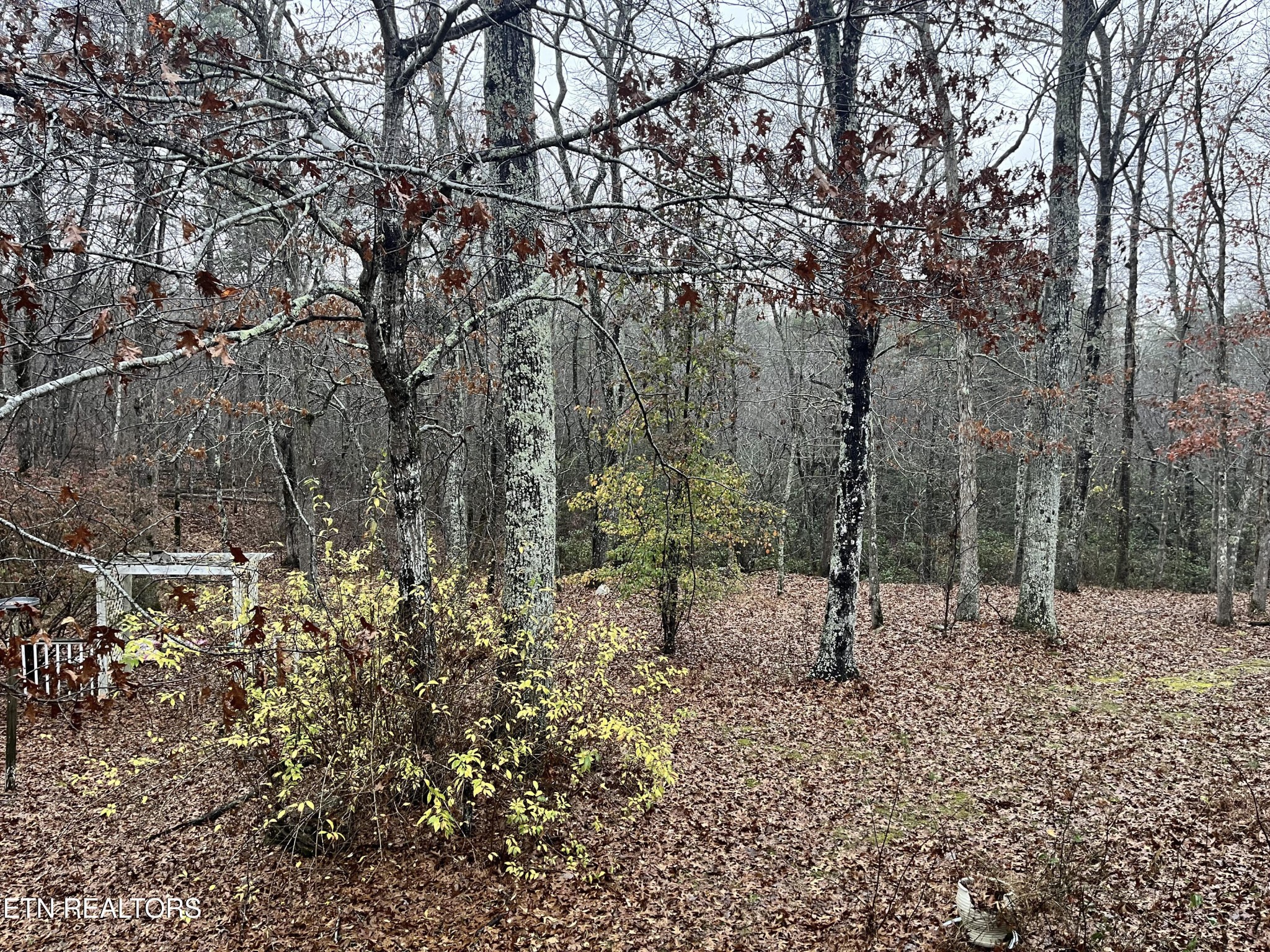 182 Rhonda Road Monterey, TN 38574 - Photo 23 of 23 Gallery Image 23