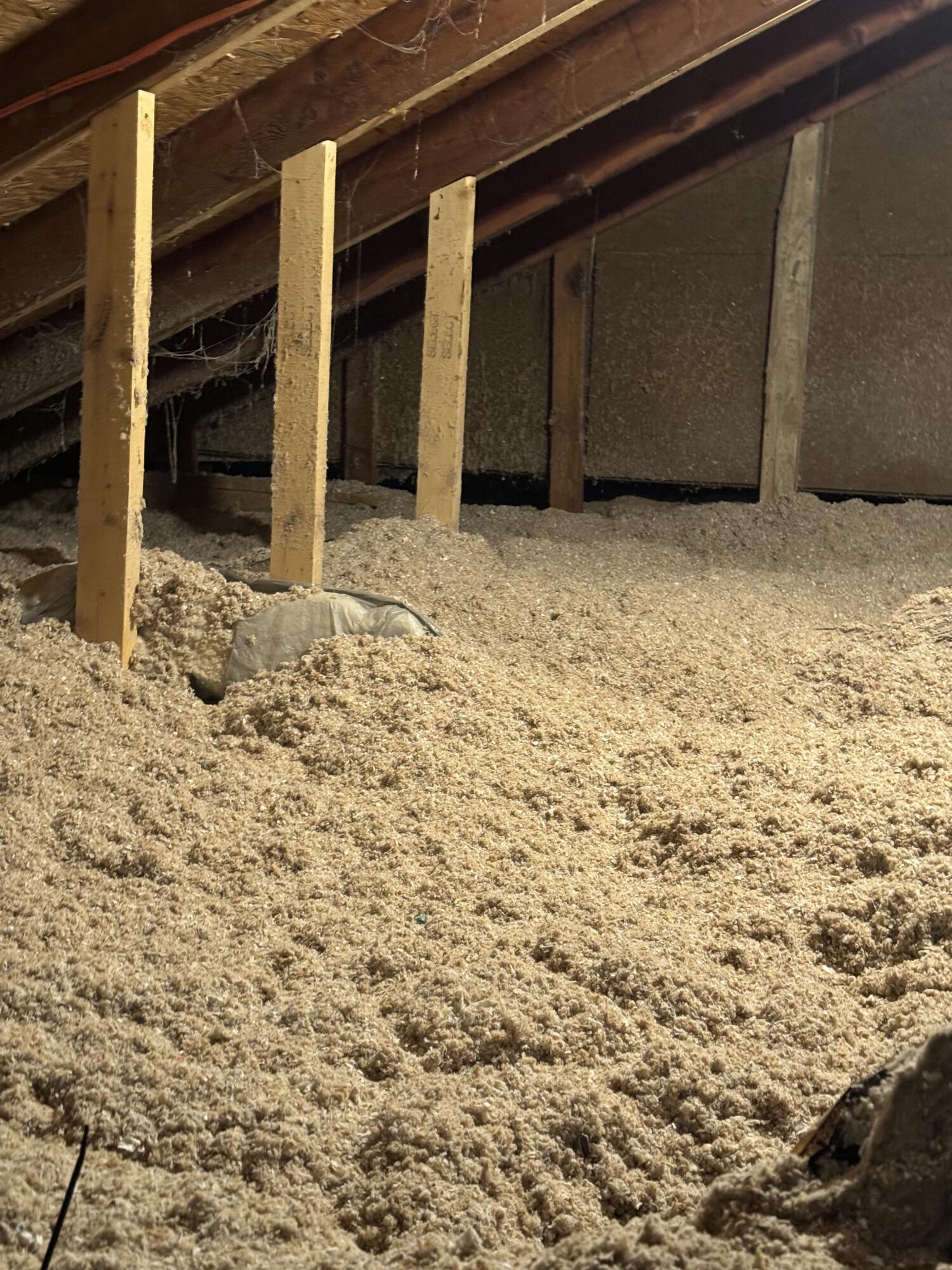 5900 Benton Road Jackson, MI 49201 - Photo 50 of 83 IMG_20260112_182932