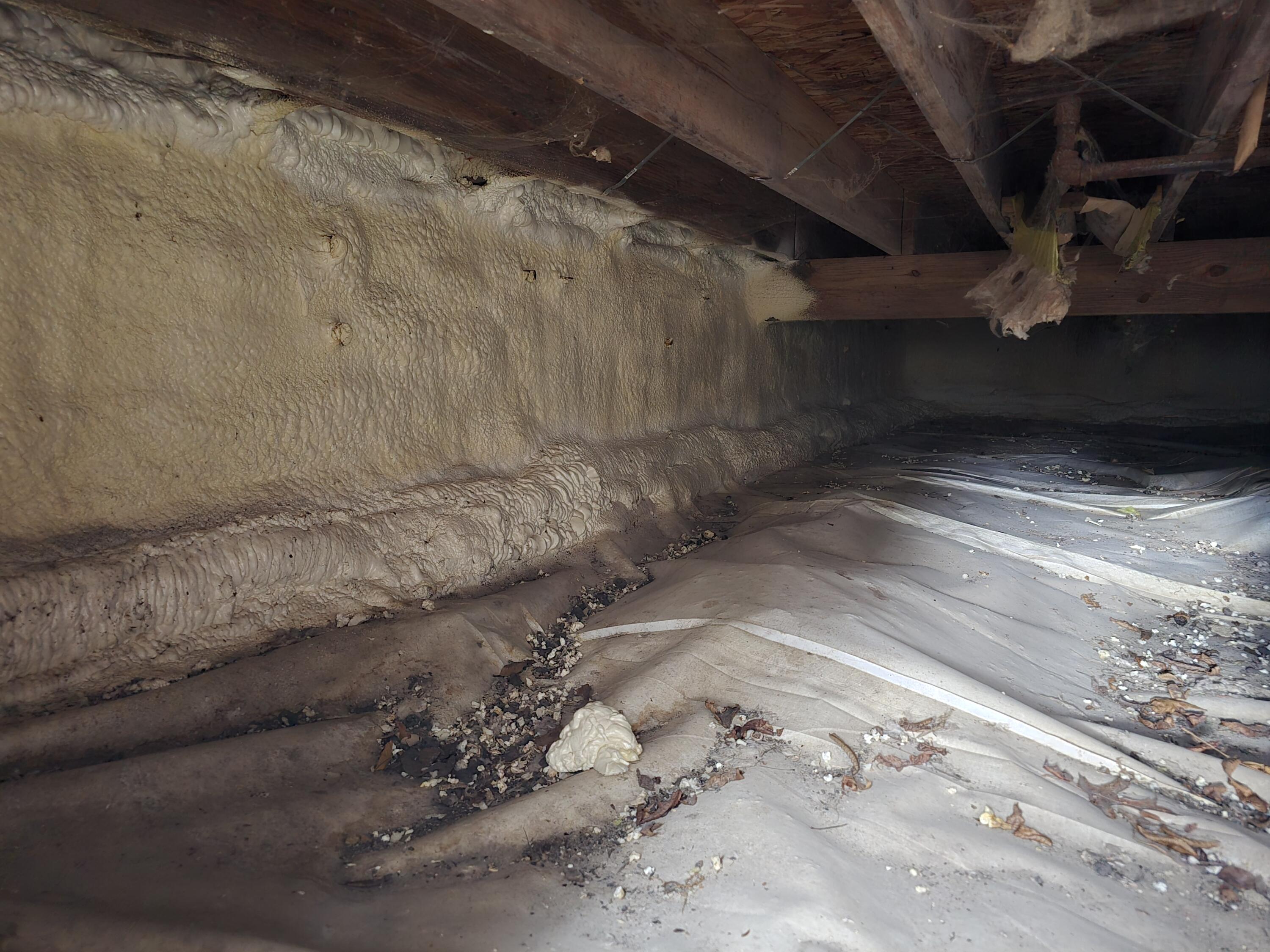 5900 Benton Road Jackson, MI 49201 - Photo 77 of 83 20260109_130324