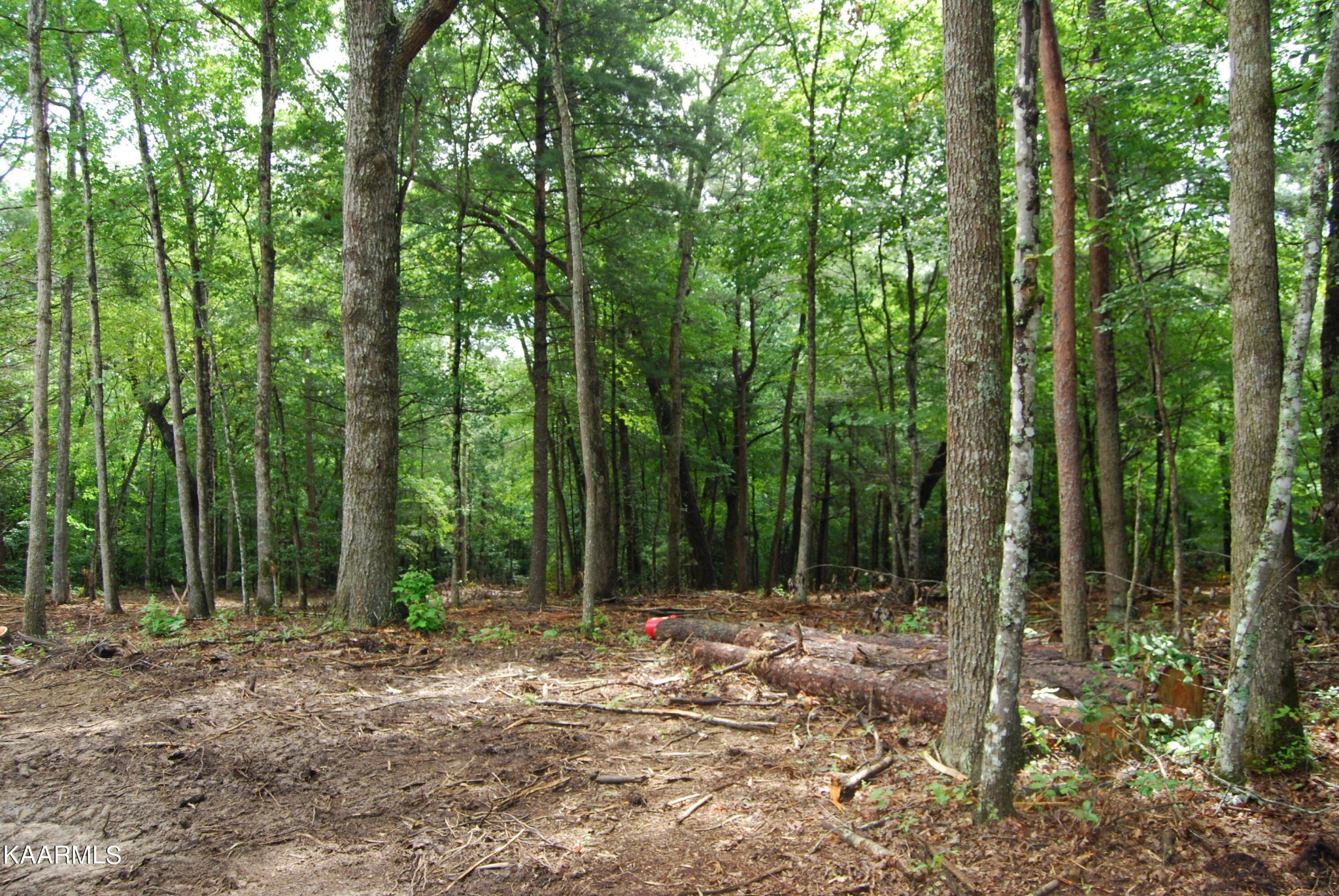 0 Goodstock Road Crossville, TN 38555 - Photo 8 of 9 Gallery Image 8
