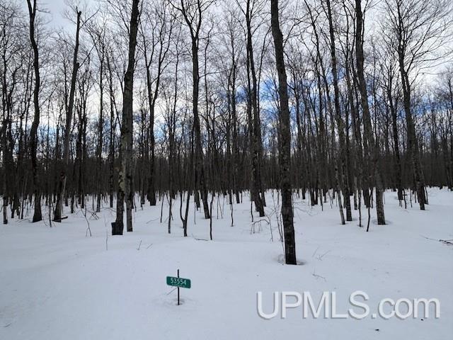53554 North Superior Road Houghton, MI 49931 - Photo 3 of 41