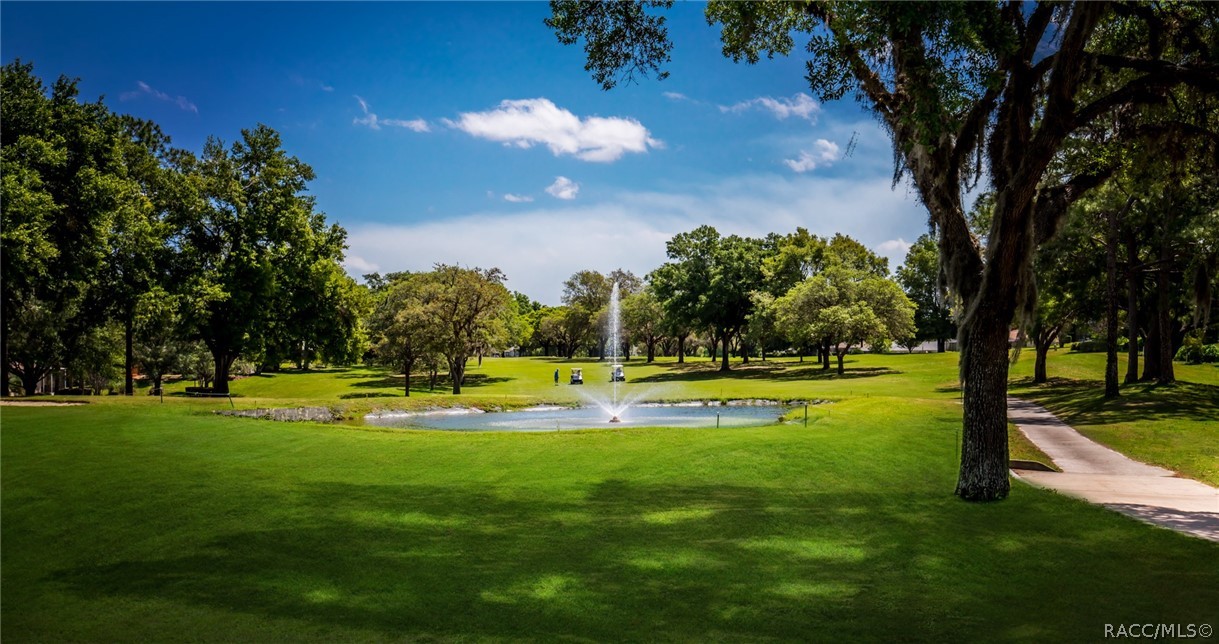 1668 West Spring Meadow Loop Lecanto, FL 34461 - Photo 44 of 56 Community Amenities