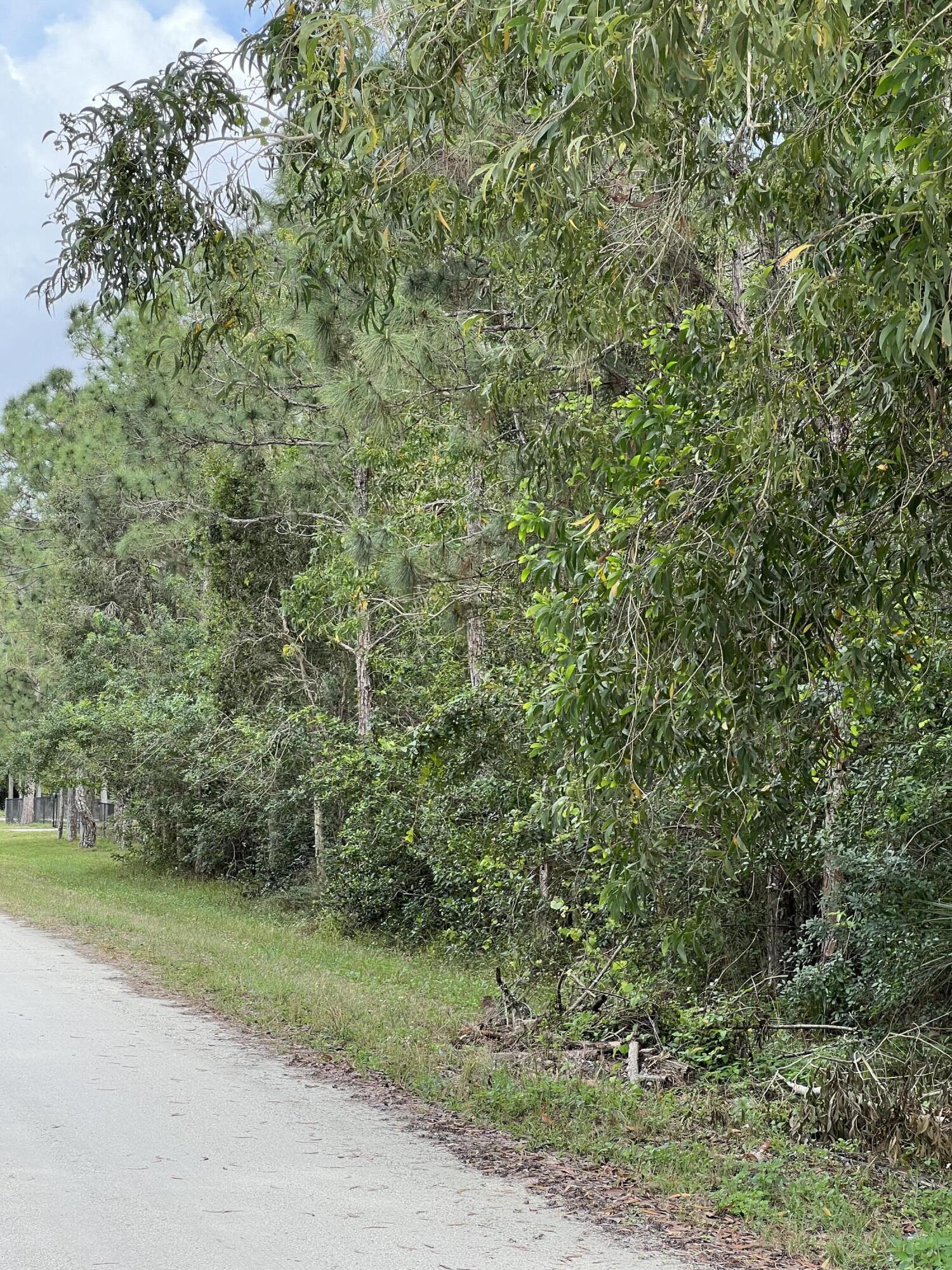 17568 88th Road North Loxahatchee, FL 33470 - Photo 3 of 4 IMG_9399