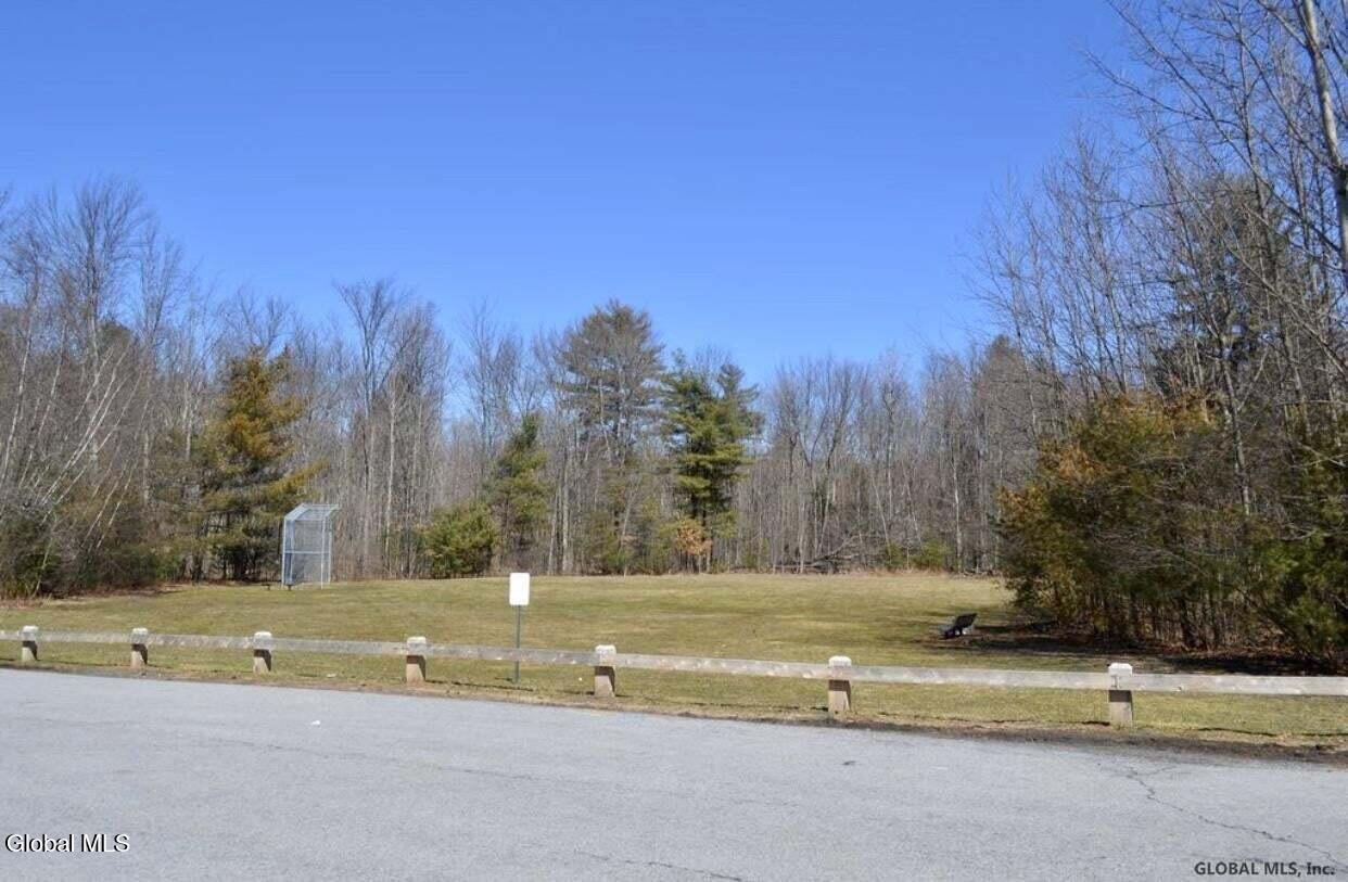 4 Raphael Court Clifton Park, NY 12065 - Photo 66 of 71 BERNINI PARK FIELD PHOTO