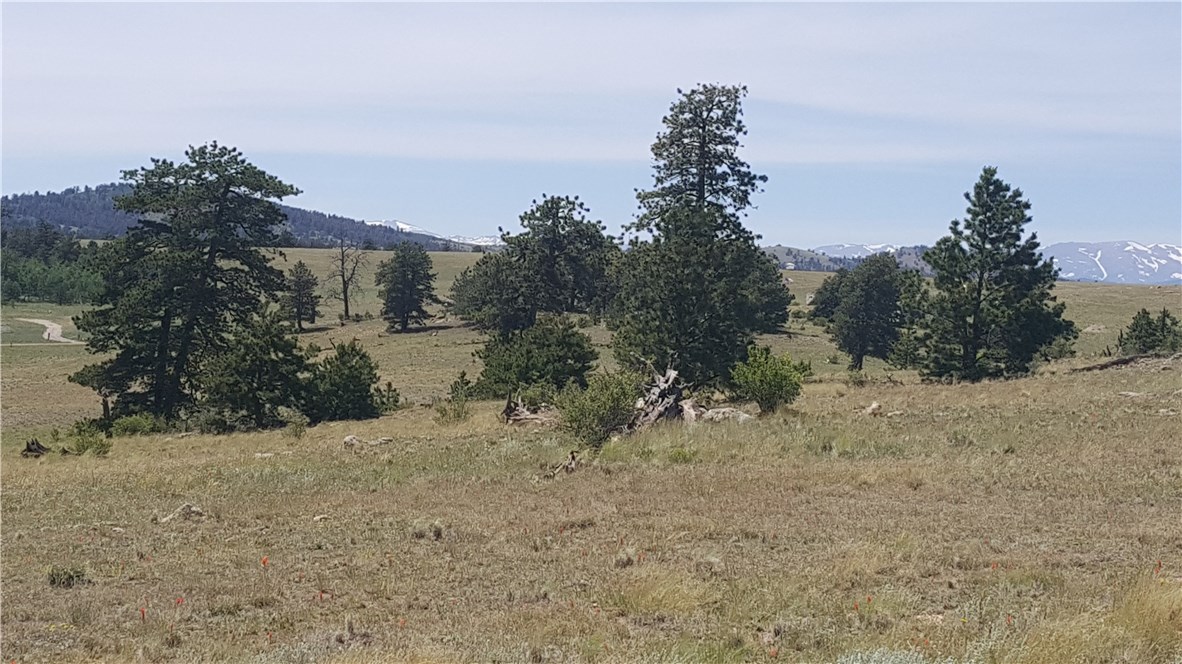 1920 Yellowstone Road Hartsel, CO 80449 - Photo 4 of 17 Gallery Image 4