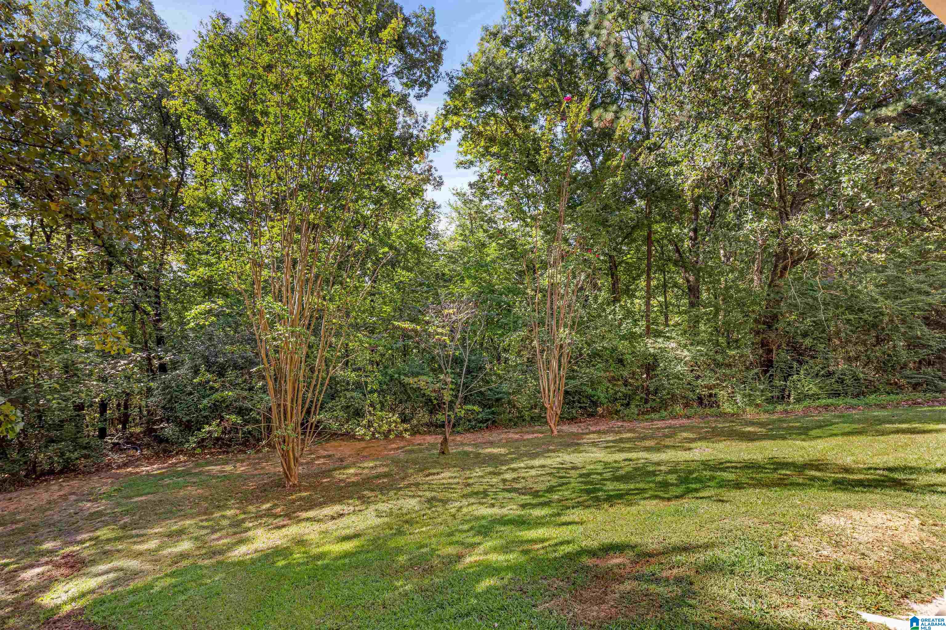 4621 Burningtree Lane Pelham, AL 35124 - Photo 36 of 36